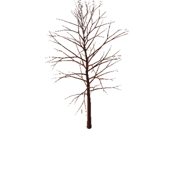 bigLeavesTree Variant